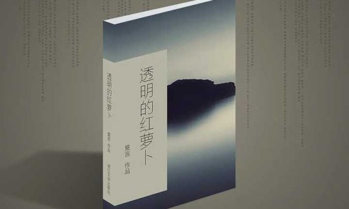 盐酸喷鼻剂有哪些-治疗鼻炎的喷剂盐酸什么来着用、盐酸喷鼻剂副作用吗 -盐酸 鼻喷雾剂说明书网